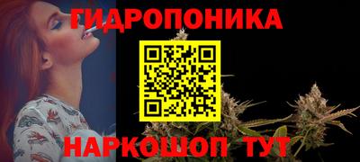индика Бийск