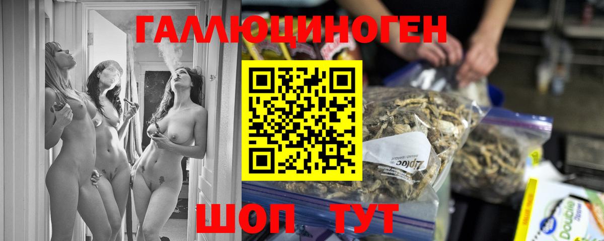 Галлюциногенные грибы прущие грибы  Вход с VPN  Камышлов 